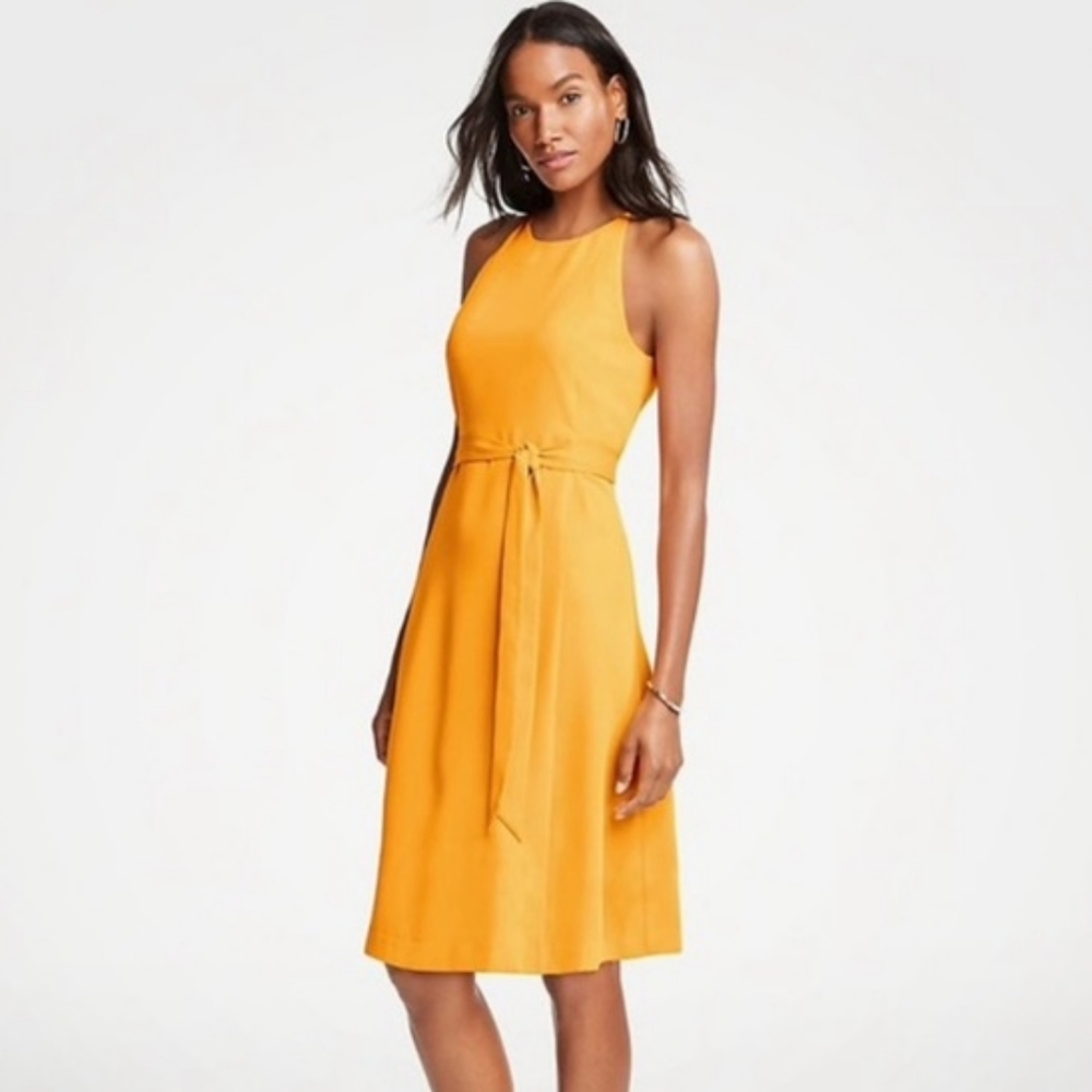 Ann Taylor Dress